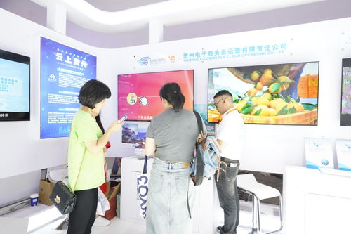 貴州電子商務(wù)云 學(xué)經(jīng)驗(yàn) 覓商機(jī) 參展服貿(mào)會(huì)收獲頗豐