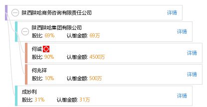 陜西陜哈商務(wù)咨詢有限責(zé)任公司